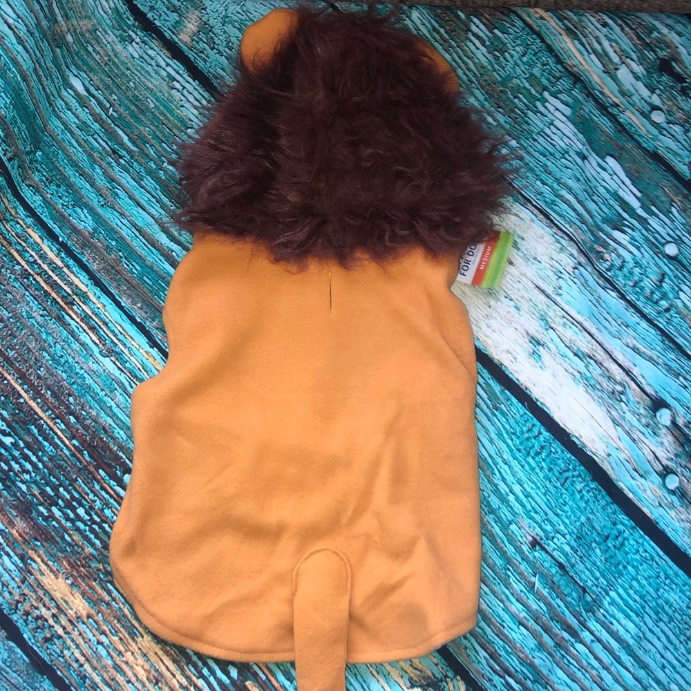Dogs Lion Costume- Available In Various Sizes - Picture 7 of 8